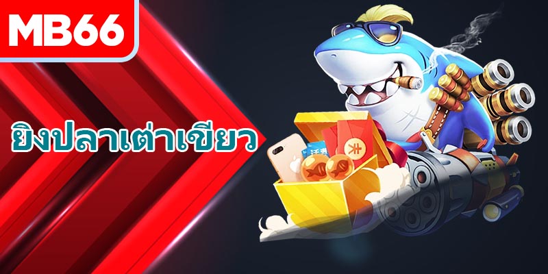 ประโยชน์มากมายจากการเล่น ยิงปลาเต่าเขียว