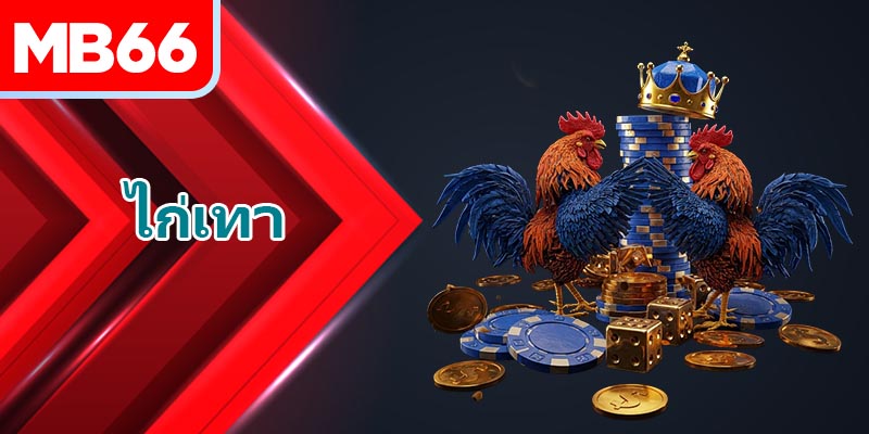 ภาพรวมสั้นๆ เกี่ยวกับ ไก่เทา