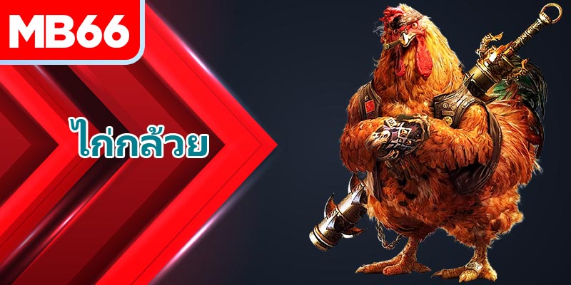 วิธีการฝึกและกลยุทธ์เพื่อชัยชนะ