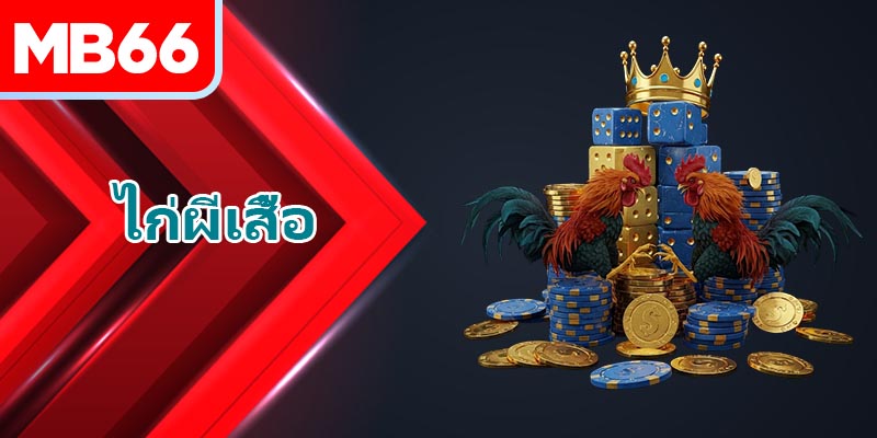 สำรวจข้อมูลรายละเอียดเกี่ยวกับธาตุของสายพันธุ์ ไก่ผีเสื้อ ที่ไม่เหมือนใคร