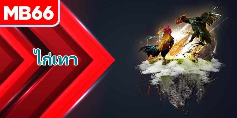 สีขาของ “นักสู้” เป็นหนึ่งในปัจจัยสำคัญที่ครูฝึกเลือก