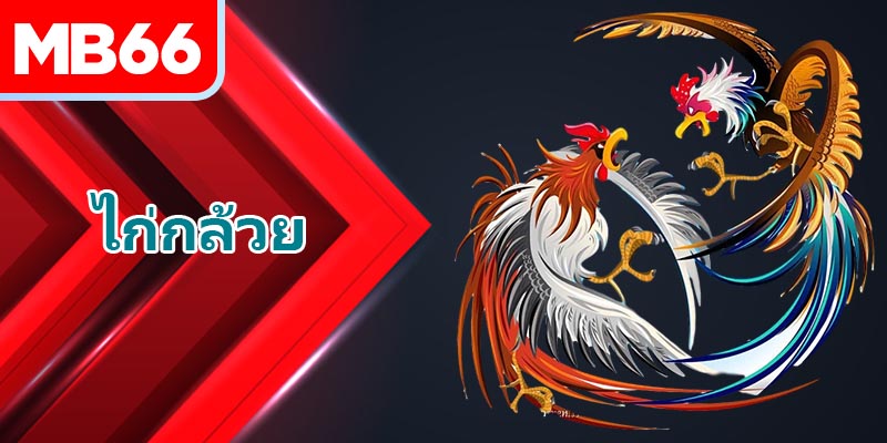 เรียนรู้แนวคิดเกี่ยวกับ ไก่กล้วย สำหรับคุณ