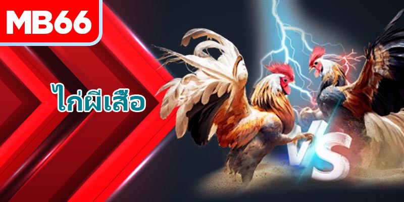 ไก่ผีเสื้อ คืออะไร? สายพันธุ์นักสู้นี้มีธาตุอะไร?